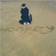 ʪͷͼƬ,ҌҲǘ,ʲኅBҼ_www.fzl9.com