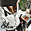 2011пQQͷ,ǲɸĵ_www.fzl9.com