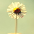 ŷ˸ͷ,- ҵ _www.fzl9.com