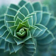 羰⾳ͷͼƬ,жǻԼƵĻ_www.fzl9.com