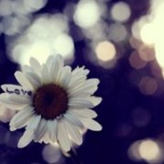 ŷӾЧFZLͷ,ǮܽûǮֻܽ͡_www.fzl9.com