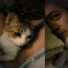 2011ͼͷ,Լ.ټ.ټ.ôα_www.fzl9.com