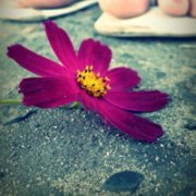 Ψͷز,ĳһ˲ Ҫһ_www.fzl9.com