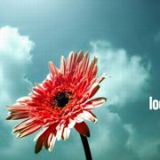 Ψͷز,ĳһ˲ Ҫһ_www.fzl9.com