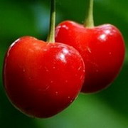 Ըͷȫ,ڽֱ߿޵˺ѷ_www.fzl9.com