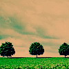 LOMO⾳ͷ,Ƿ_www.fzl9.com