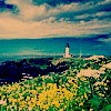 LOMO⾳ͷ,Ƿ_www.fzl9.com