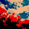 LOMO⾳ͷ,Ƿ_www.fzl9.com