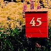 LOMO⾳ͷ,Ƿ_www.fzl9.com