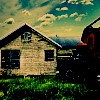 LOMO⾳ͷ,Ƿ_www.fzl9.com