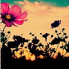 LOMO⾳ͷ,Ƿ_www.fzl9.com