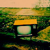 LOMO⾳ͷ,Ƿ_www.fzl9.com
