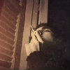 2012ǷͷͼƬĶȻ˿_www.fzl9.com