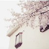 龰ķ羰FZLͷͼƬҲúչԼ_www.fzl9.com