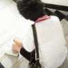 2012ΨͷͼزĶתһ֮_www.fzl9.com
