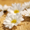 2012FZL⾳ͷͼƬٶĸпҲᶮúܶ_www.fzl9.com