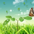 2012FZL⾳ͷͼƬٶĸпҲᶮúܶ_www.fzl9.com