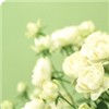 ÿķͷͼƬ,еļƻȫ_www.fzl9.com