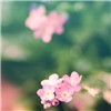 ÿķͷͼƬ,еļƻȫ_www.fzl9.com