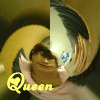 qqռ䶯̬ͷȫ,ڿһ_www.fzl9.com