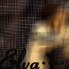 qqռ䶯̬ͷȫ,ڿһ_www.fzl9.com
