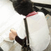 Ψͷ,ݭҪ_www.fzl9.com