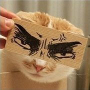 qqͷһ,һдܶ೤ľ ûʲôͼ_www.fzl9.com