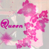 90̬QQͷȫڵ ܲ˱˶Һ_www.fzl9.com