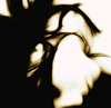 2012ΨÿıͷͼƬںһֻҪһҾ_www.fzl9.com