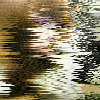 2012QQԶ嶯̬ͷȫԲ  ҲԼ̫˽_www.fzl9.com