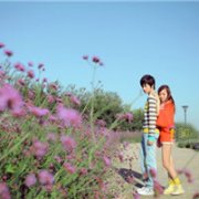 KISSͷȫ飬治Ķأ_www.fzl9.com