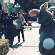 qq䰮ͷȫм֤ǵഺ_www.fzl9.com
