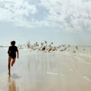 2012ŷͷ  ѵ _www.fzl9.com