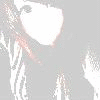 2012100 100ͷ̬ͼƬ,ʲôİ //_www.fzl9.com