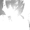 2012100 100ͷ̬ͼƬ,ʲôİ //_www.fzl9.com