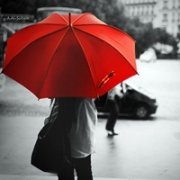 ůɫŮͷȫڱ绰_www.fzl9.com