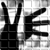 2012ͷȫ˭涨˻ҹ뱻_www.fzl9.com