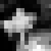 ΨͷĳȺ_www.fzl9.com