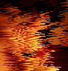 ͷ֪ʵѳΪ֡_www.fzl9.com