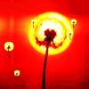 ΨͷͼƬҺͶ漷_www.fzl9.com