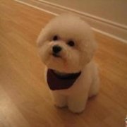 ⾳ͷ_졣è_www.fzl9.com