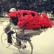 Ůɭϵͷ_GDRAGON_www.fzl9.com