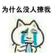ͨ΢ͷ_ǿ