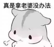 ͨ΢ͷ_ԸΪػStubbornִ룺