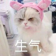 ͨ΢ͷ_Fairy_ ŮƱ䡣è˱