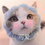 ͨ΢ͷ_С鳡˾
